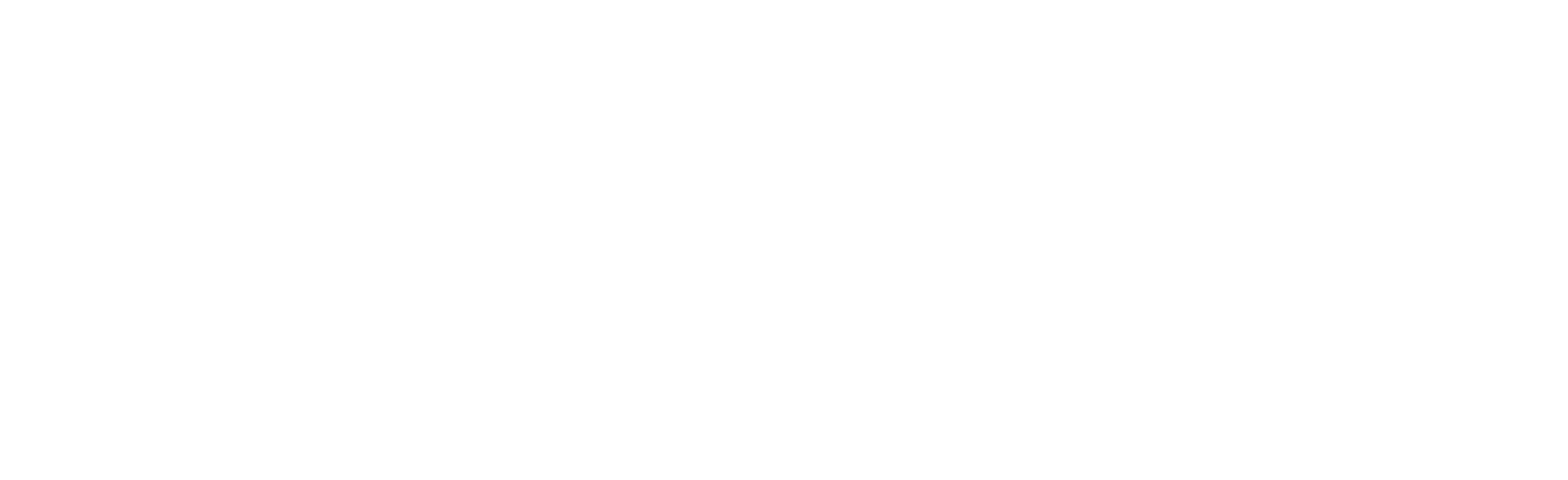 OWASP Top 10